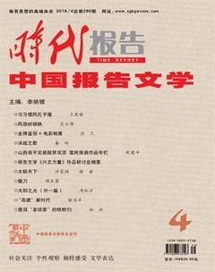 时代报告·中国报告文学2019年4期