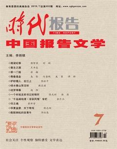 时代报告·中国报告文学2019年7期