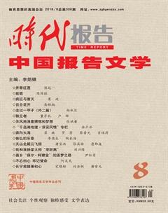 时代报告·中国报告文学2019年8期