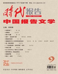 时代报告·中国报告文学2019年9期