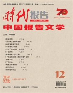 时代报告·中国报告文学2019年12期