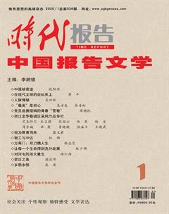 时代报告·中国报告文学2020年1期
