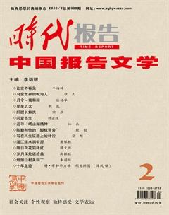 时代报告·中国报告文学2020年2期