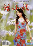 短小说2004年6期