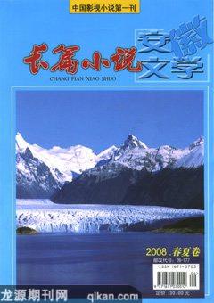 安徽文学·增刊2008年1期
