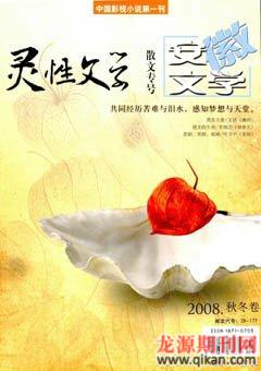 安徽文学·增刊2008年2期