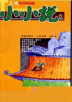 天池小小说2006年1期