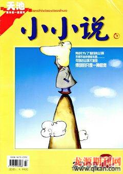 天池小小说2009年2期