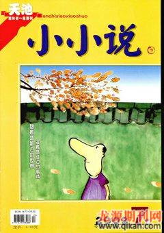天池小小说2009年7期