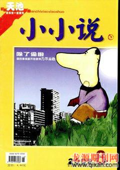 天池小小说2009年8期