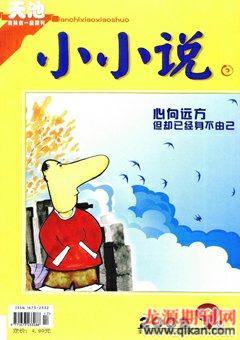 天池小小说2009年9期