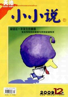 天池小小说2009年12期