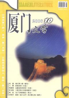 厦门文学2006年10期