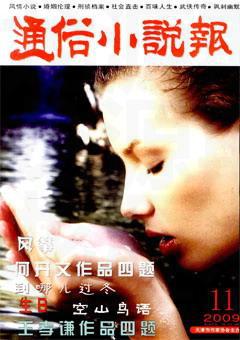 通俗小说报2009年11期