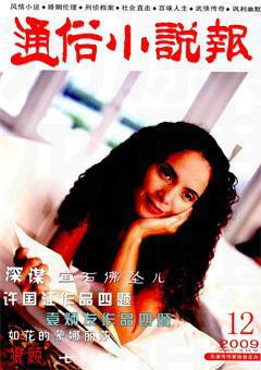 通俗小说报2009年12期
