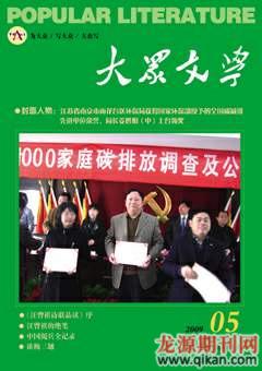 大众文化2009年5期