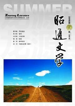 昭通文学2009年2期