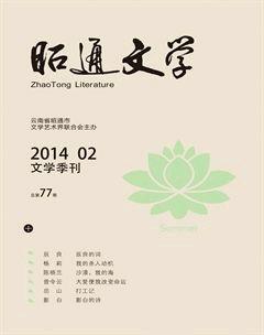 昭通文学2014年2期
