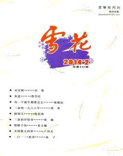 雪花2014年2期