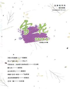 雪花2014年5期