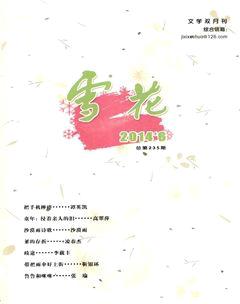 雪花2014年6期