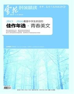 雪花2016年4期