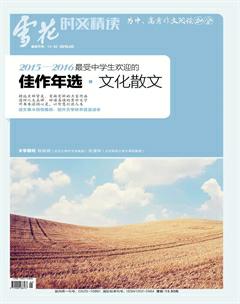 雪花2016年5期