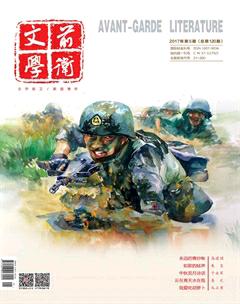 前卫文学2017年5期
