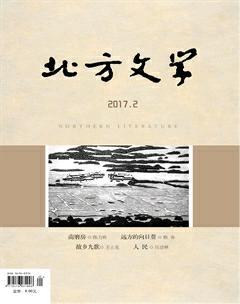 北方文学·上旬2017年2期