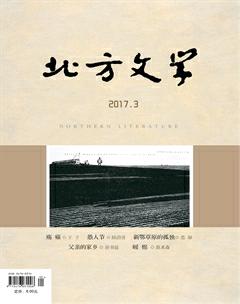 北方文学·上旬2017年3期