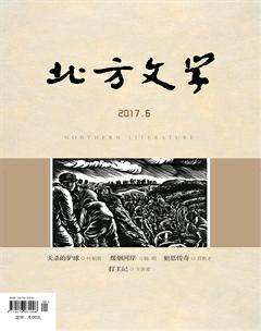 北方文学·上旬2017年6期
