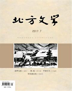 北方文学·上旬2017年7期