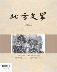 北方文学·上旬2017年8期