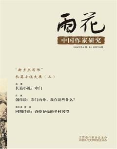 雨花·下半月2016年6期
