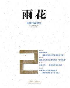 雨花·下半月2017年2期