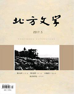 北方文学·上旬2017年13期