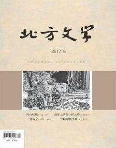 北方文学·上旬2017年17期