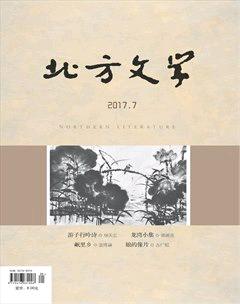 北方文学·上旬2017年20期