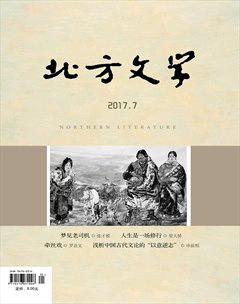 北方文学·上旬2017年21期
