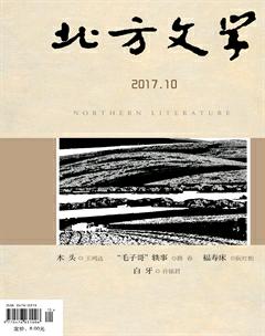 北方文学·上旬2017年28期