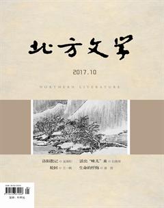 北方文学·上旬2017年29期