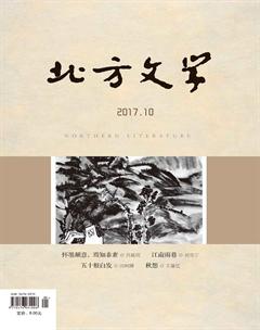 北方文学·上旬2017年30期