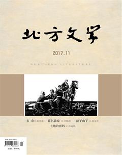 北方文学·上旬2017年31期