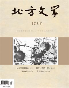 北方文学·上旬2017年32期