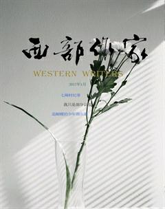 西部作家2017年1期