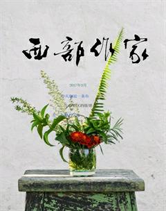 西部作家2017年3期