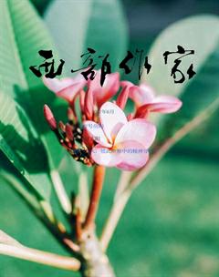 西部作家2017年6期