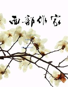 西部作家2017年7期