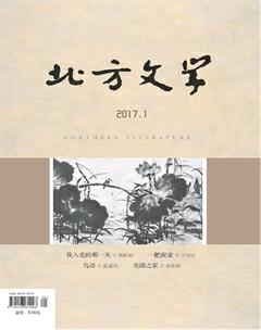 北方文学·下旬2017年1期