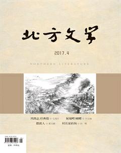 北方文学·下旬2017年4期